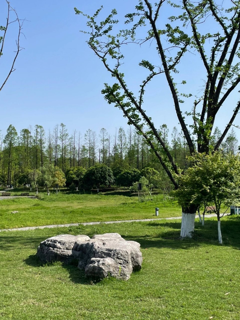 巴溪洲,一个超级原生态的地方～ 位置在湘江新区大王山 植被覆盖率