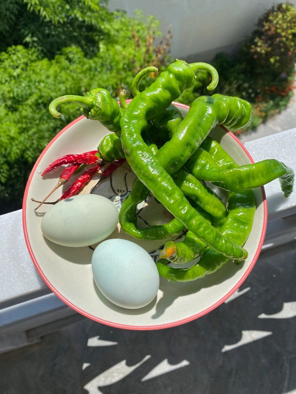 跟云南ren学做菜第5天 鬼火绿真是省事又下饭 纯纯被云南网友安利的一