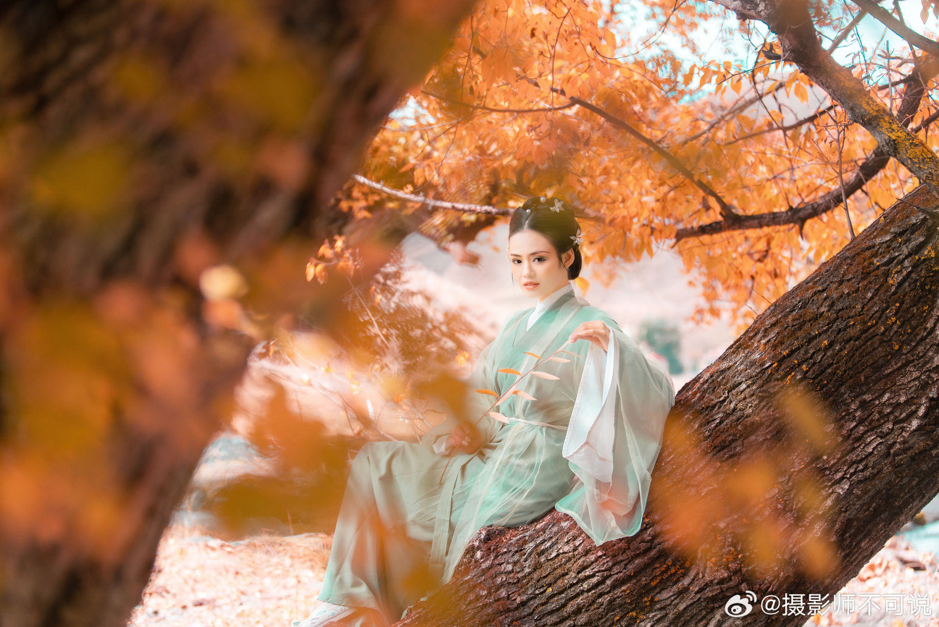 《秋风林》守候在枫林里,等待那一缕秋风,片片的落叶,红得那么鲜艳