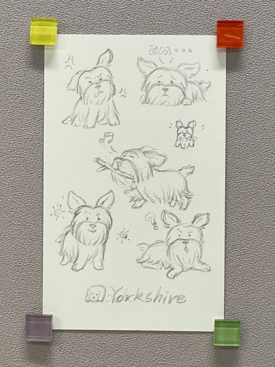 98狗狗简笔画100-3|约克夏|手帐素材94 约克夏的耳朵像个大蝴蝶!