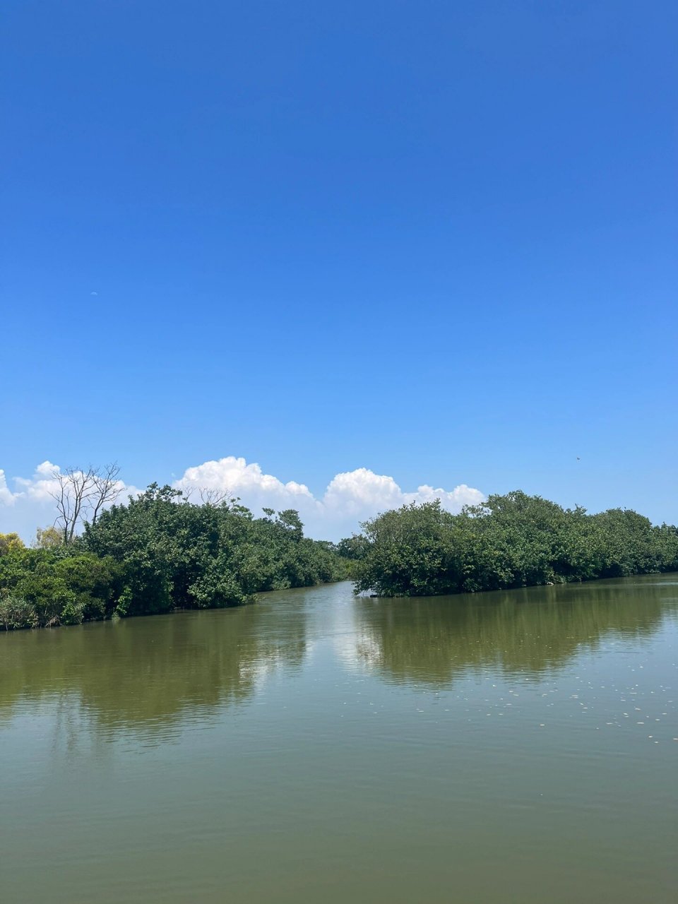 广东最美湿地-南沙湿地公园 从番禺跑去南沙,路程一个多小时,在地铁