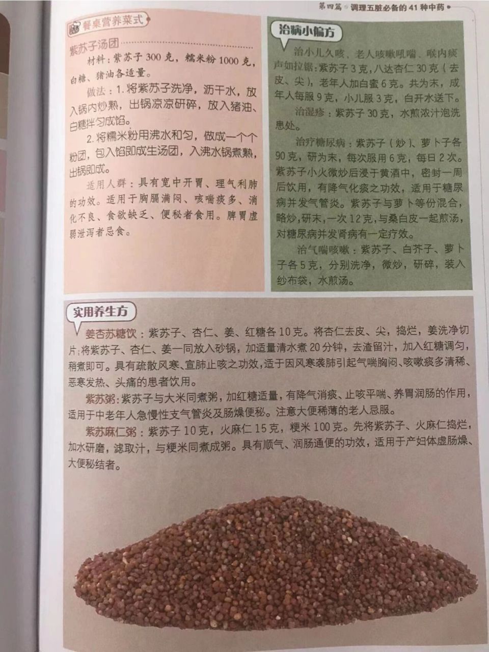 紫苏的功效与作用图片