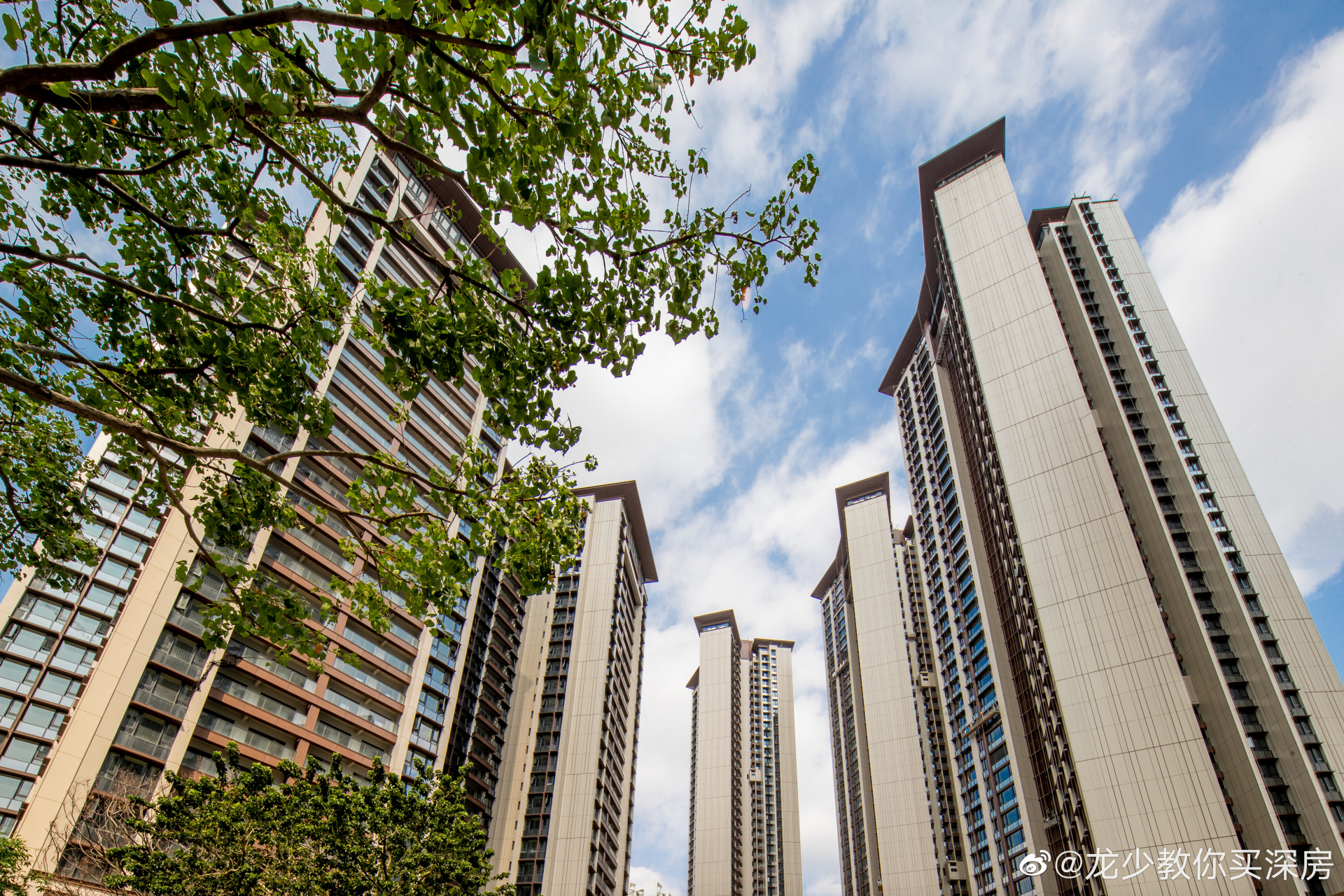 深铁今年还能打的就只有#深铁懿府# 三期了!