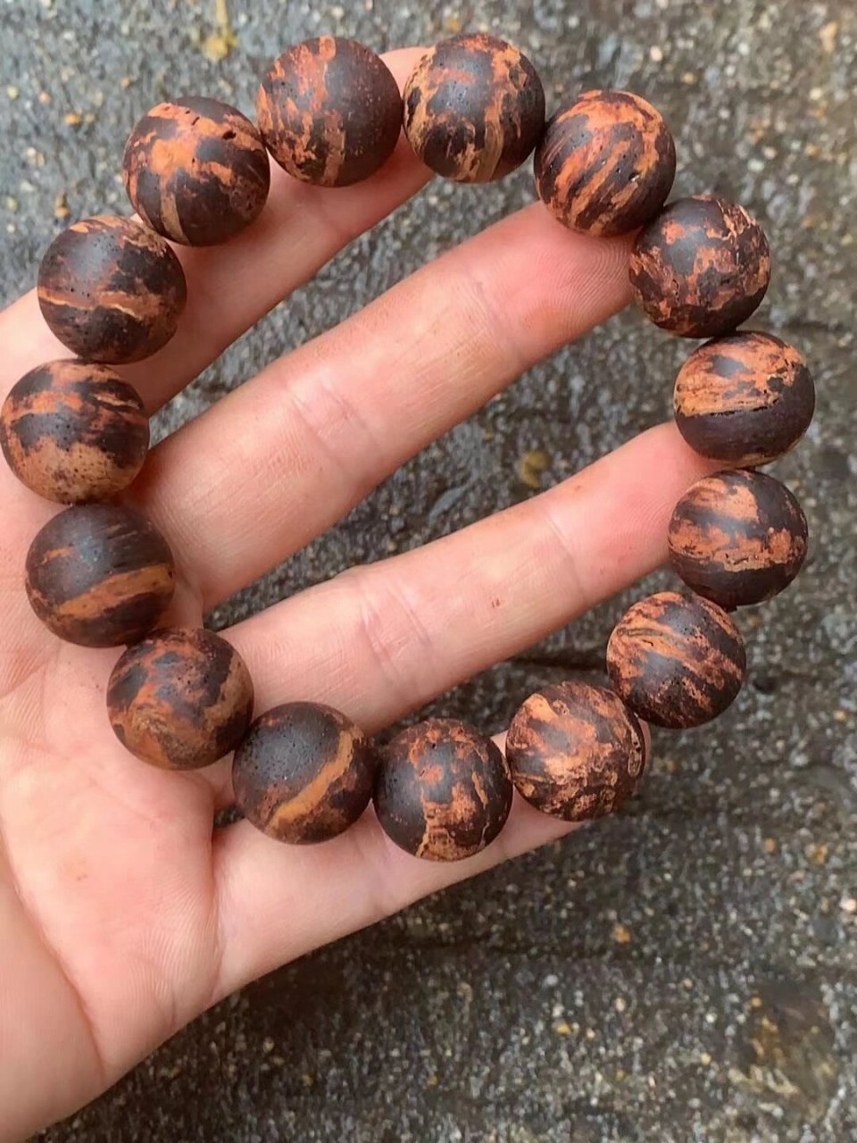 降真香黄金甲 黄金甲降真香是当代众多藏者追捧的珍稀中的新宠,这不仅