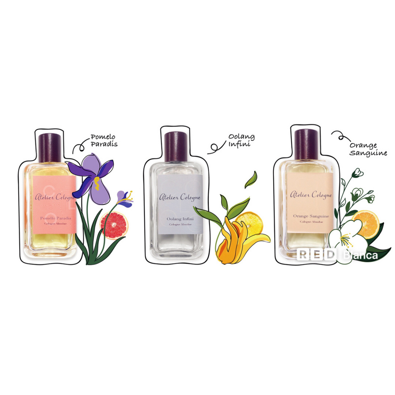 atelier cologne在我的一篇介绍近一年喜欢的香水的笔记中就有提到