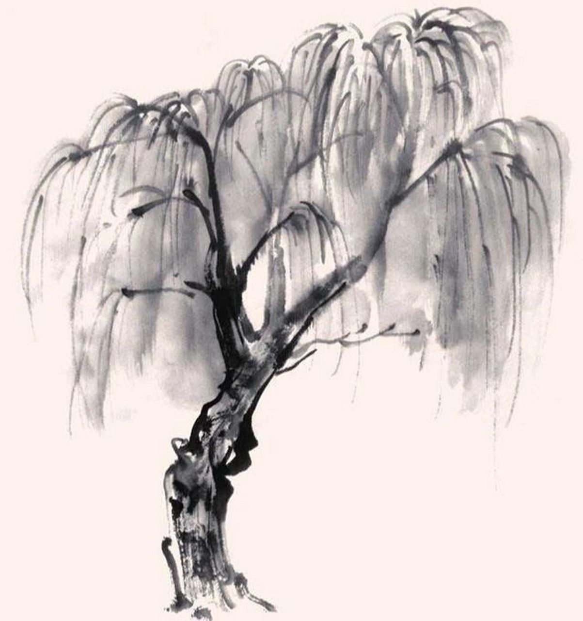 国画《柳树》画法