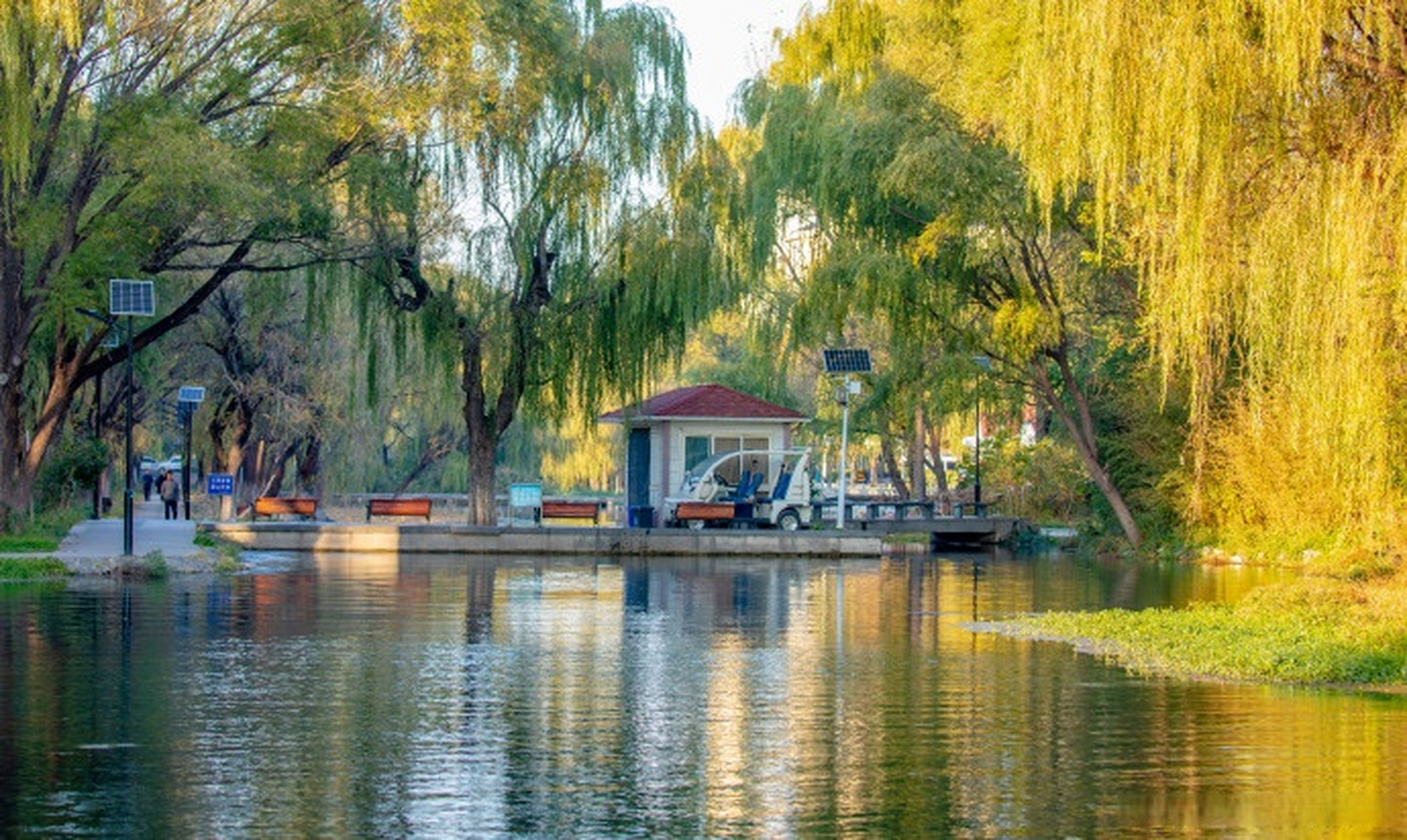 爱上济南的冬天##爱上这座城# 初冬的章丘眼明泉公园,阳光明媚,五彩