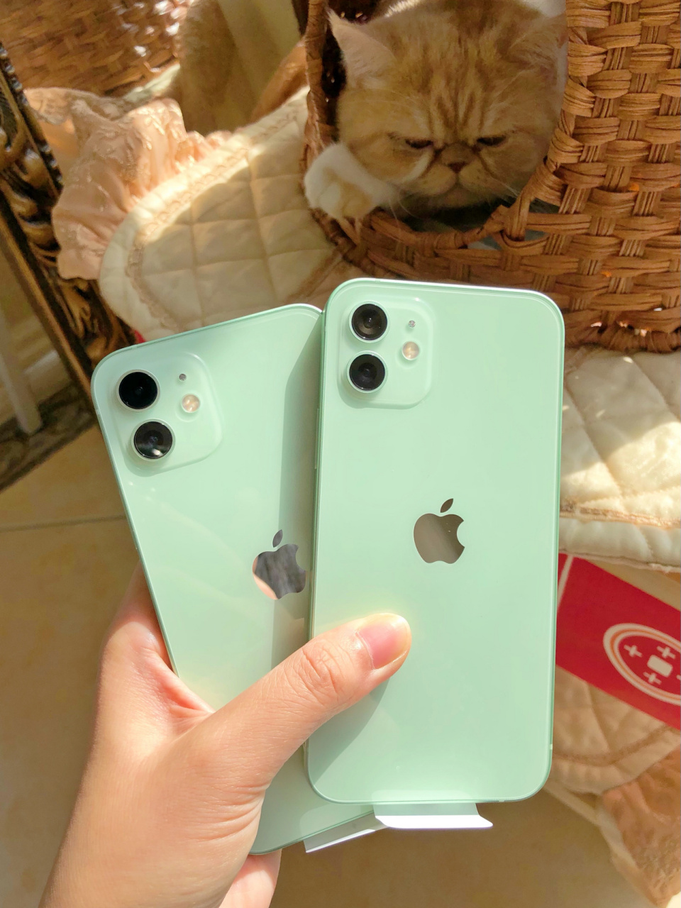 97青苹果iphone12的绿颜色是真心喜欢93 预售那天在官网单独拍的