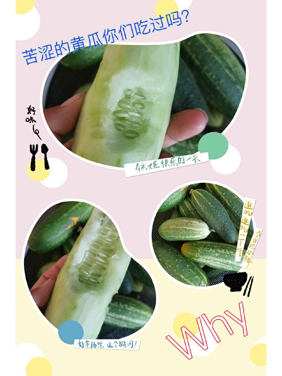 跪求大神们指点迷津,黄瓜为啥是苦的 在线跪求后院种菜大神们 今年家