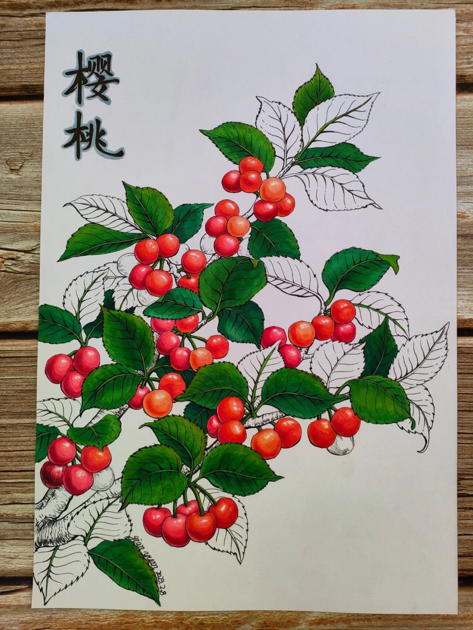 云南市场已经有很多樱桃上市了,你的城市樱桃上市了吗?        涂色