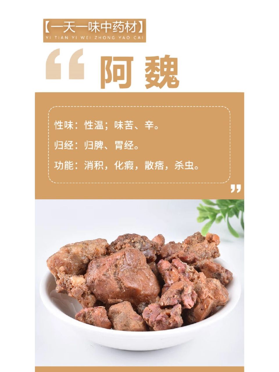 土豆性味归经图片