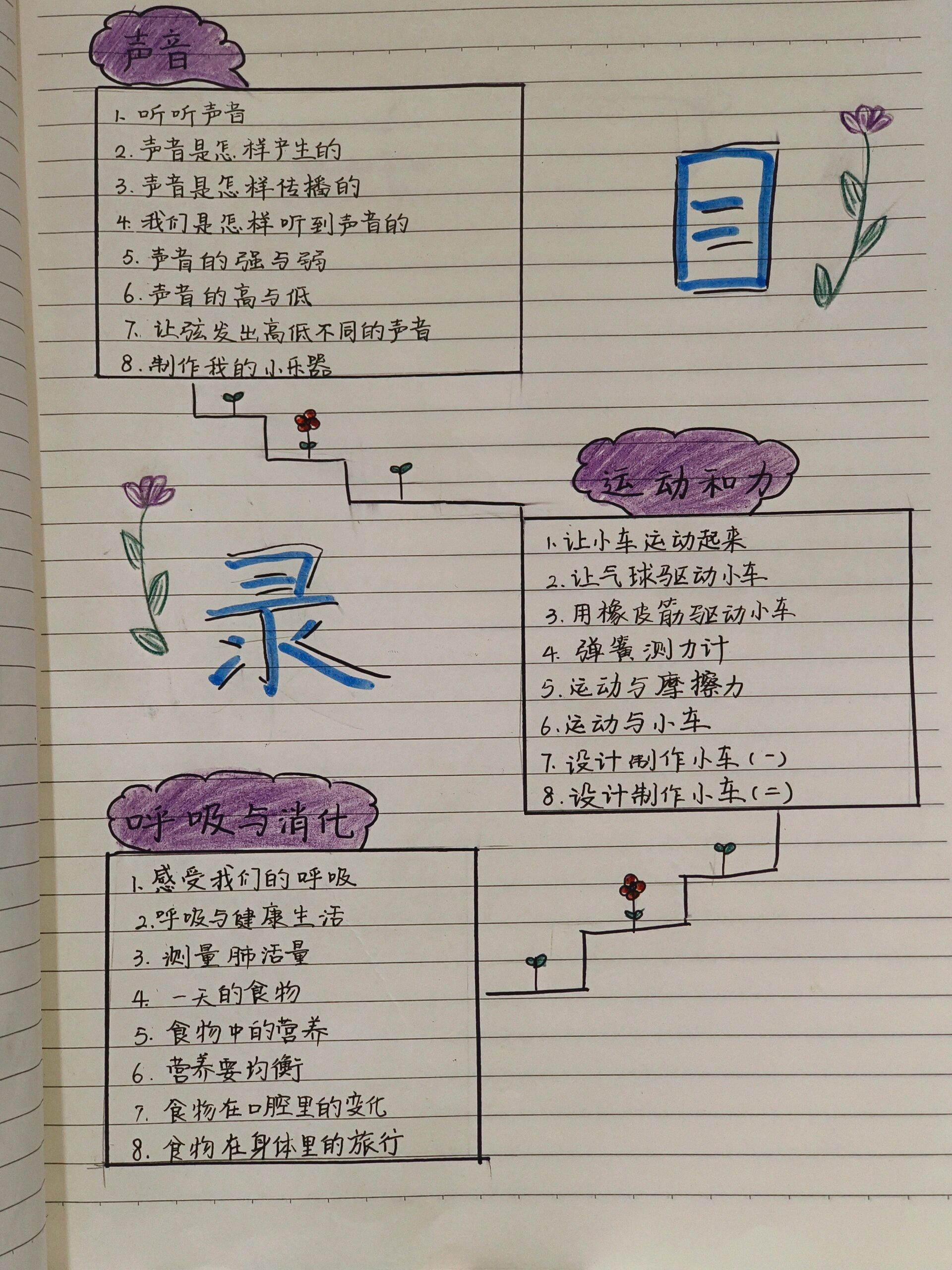 科学记录本目录怎么画图片