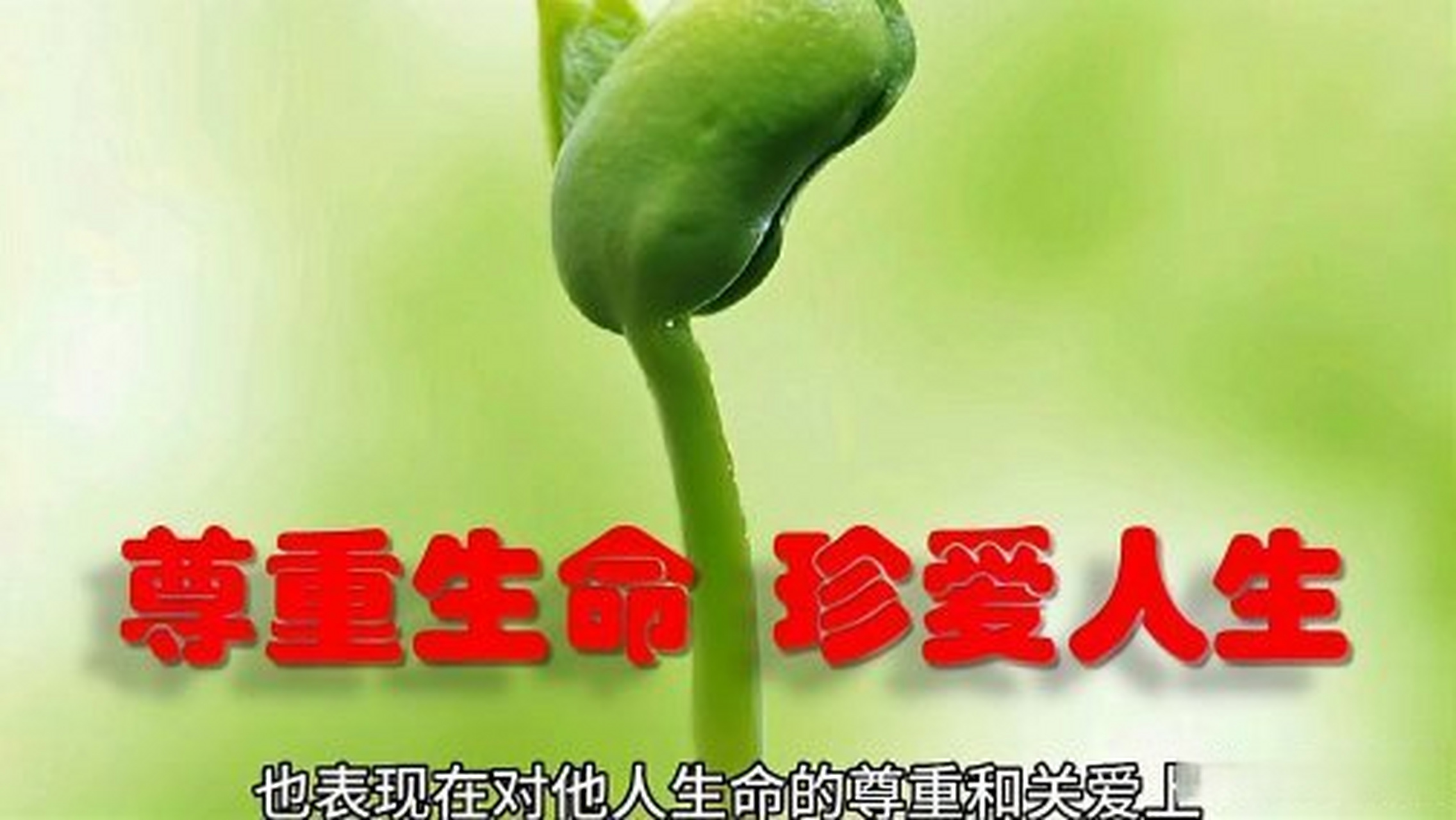 这篇视频很有意思《生命觉醒从现在开始》