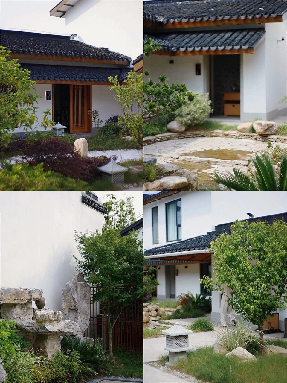 苏州燕子坞8件小事,尽显武侠风|苏州民宿 三月太湖边,杨柳飘飘,春意