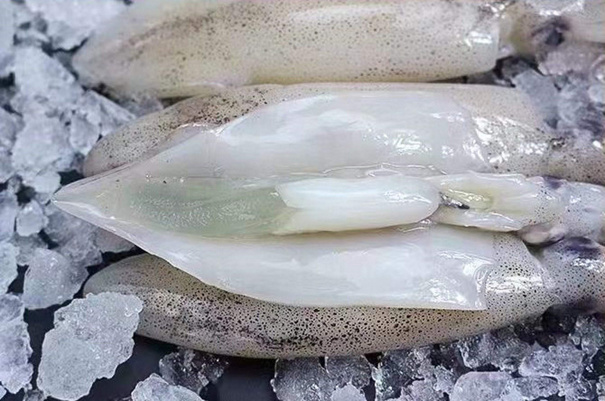 中农湾-大公体笔管200g*7袋【推荐理由】大牌中农湾,质量非常好,公体