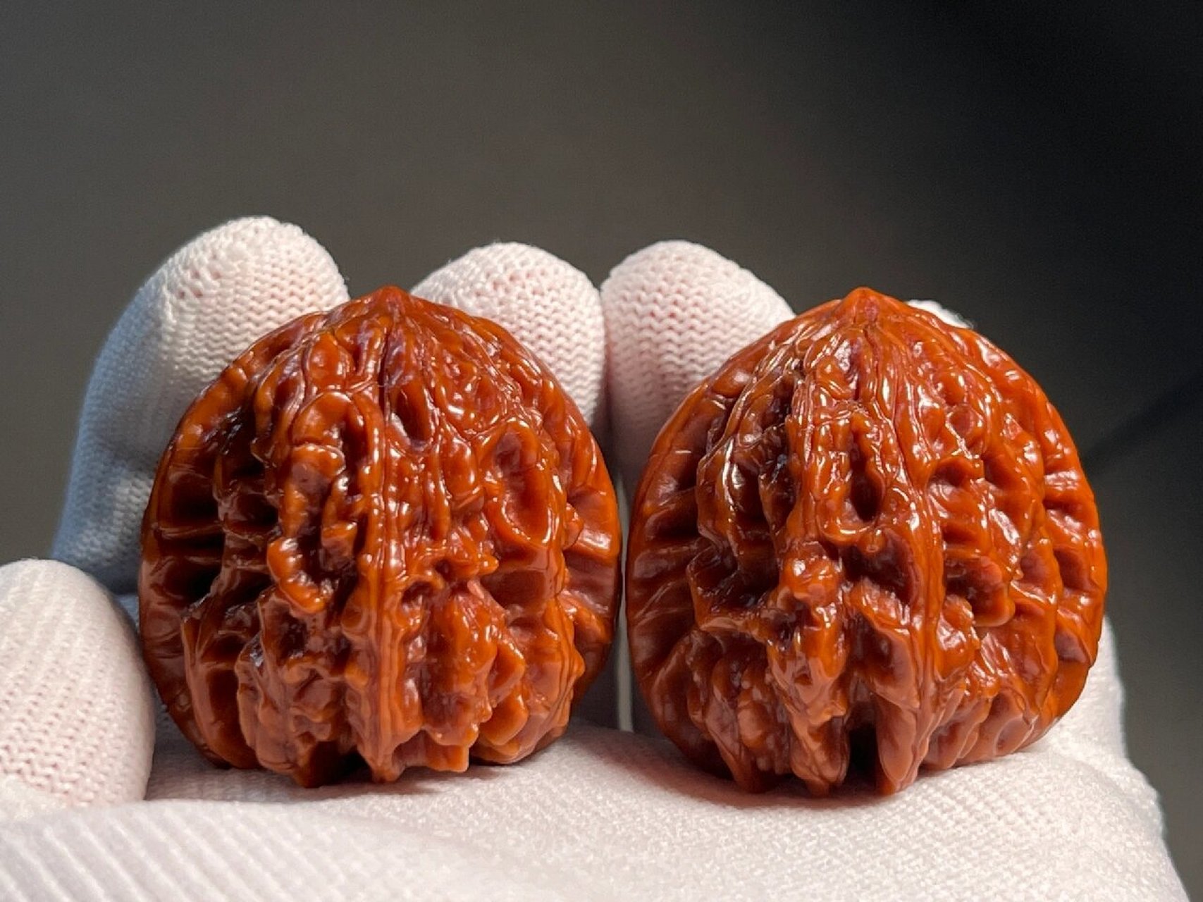 28截拍】平谷暴雪狮子头拍卖 相似度95%的一对平谷暴雪,高端小众品种