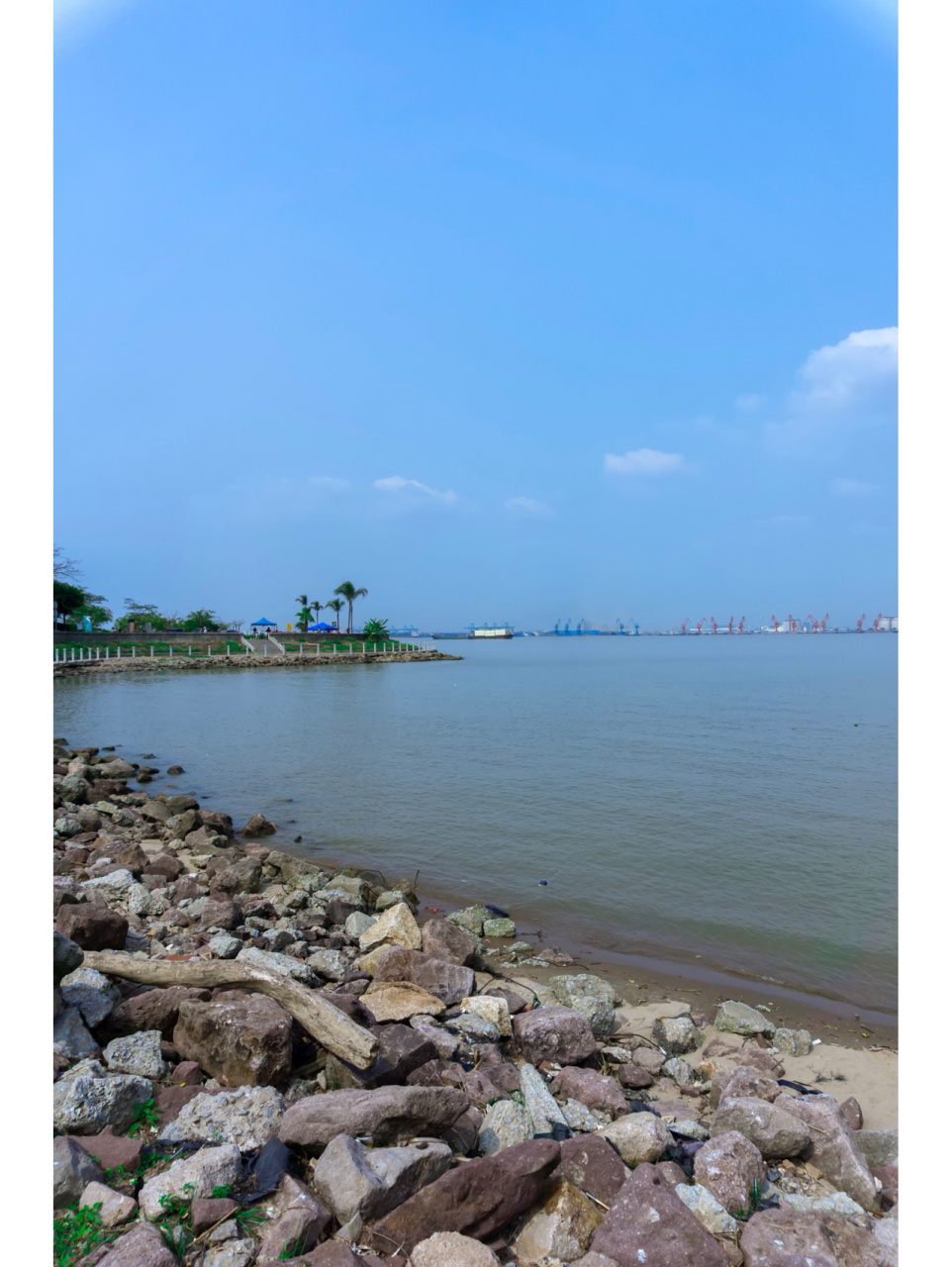 广州拍照·海鸥岛看海 📍地理地址:番禺区合心村  🕰️时间: 全