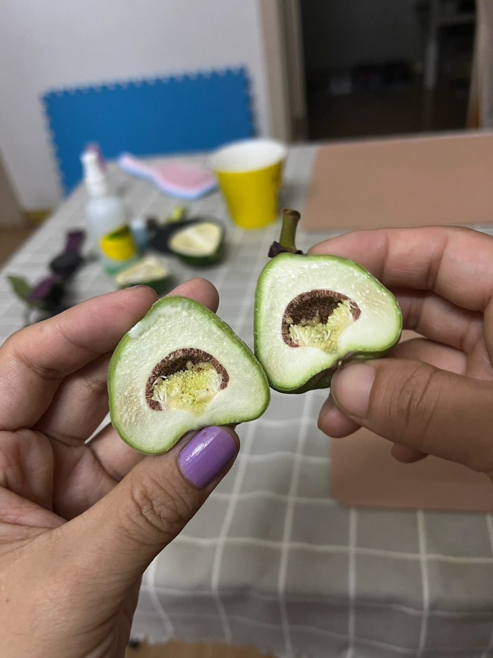 可以搓凉粉的果子:薜荔 今天分享的是凉粉果"薜荔",它和无花果一样,都