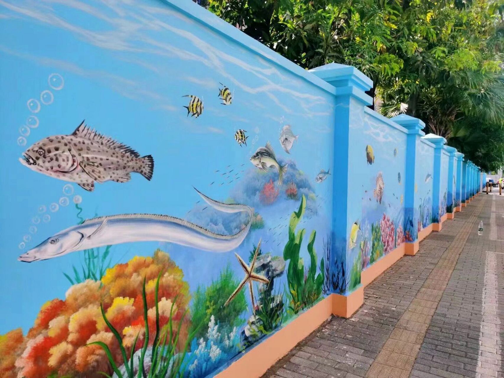 艺术# #创意墙绘# #墙体彩绘# #海洋生物壁画# #手绘墙