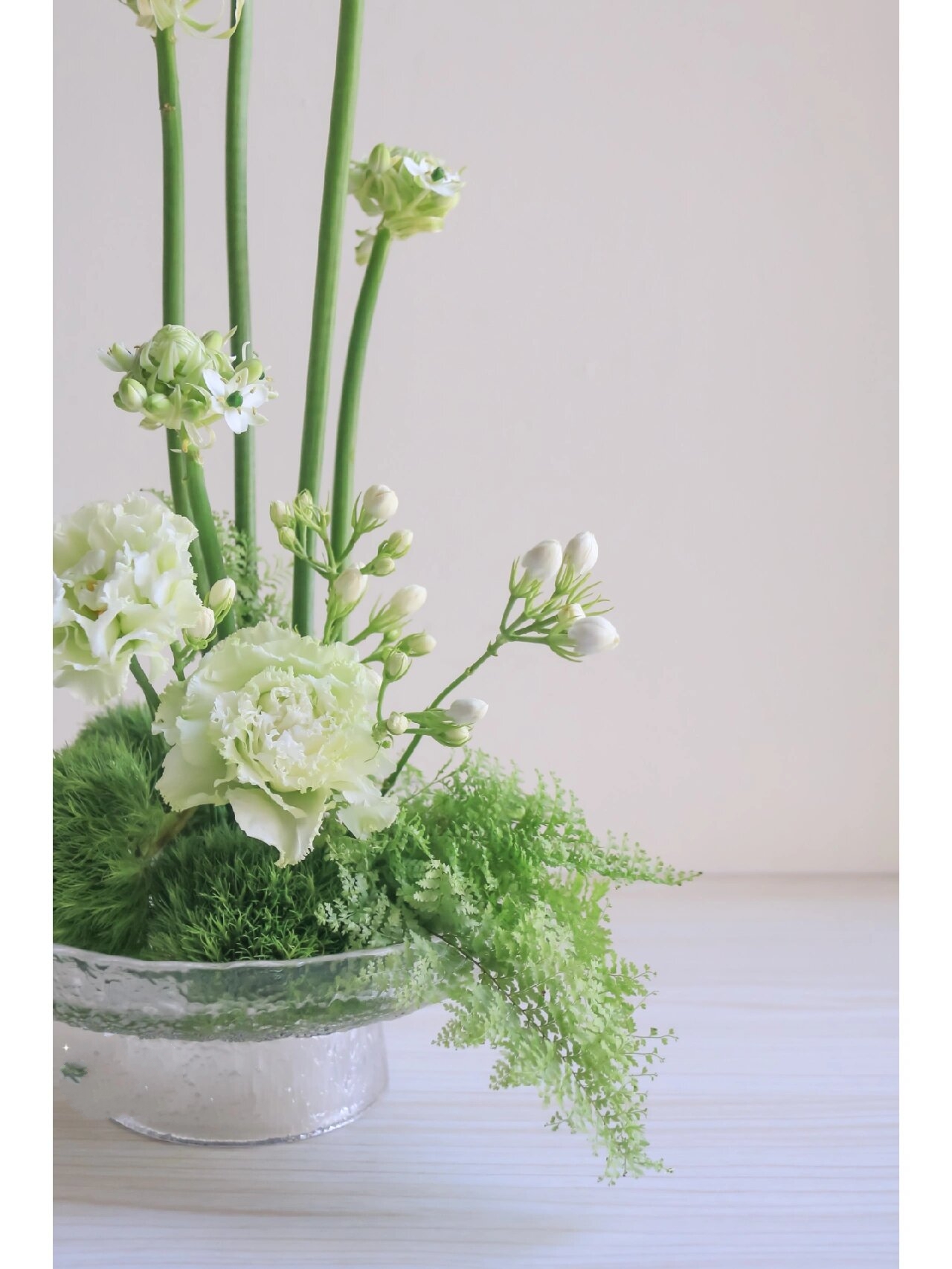 【白绿色系花材推荐】 94波浪边白色洋桔梗 94伯利恒之星/天鹅绒