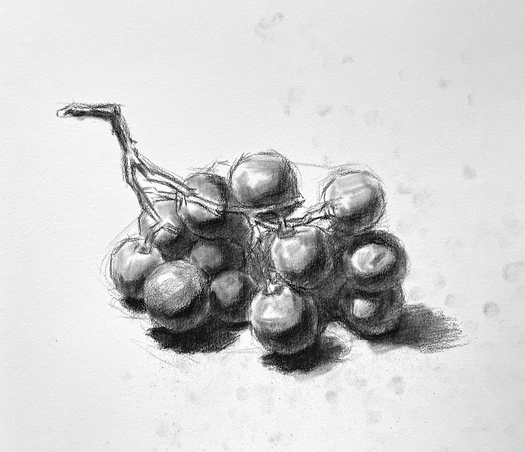 素描静物,一串葡萄