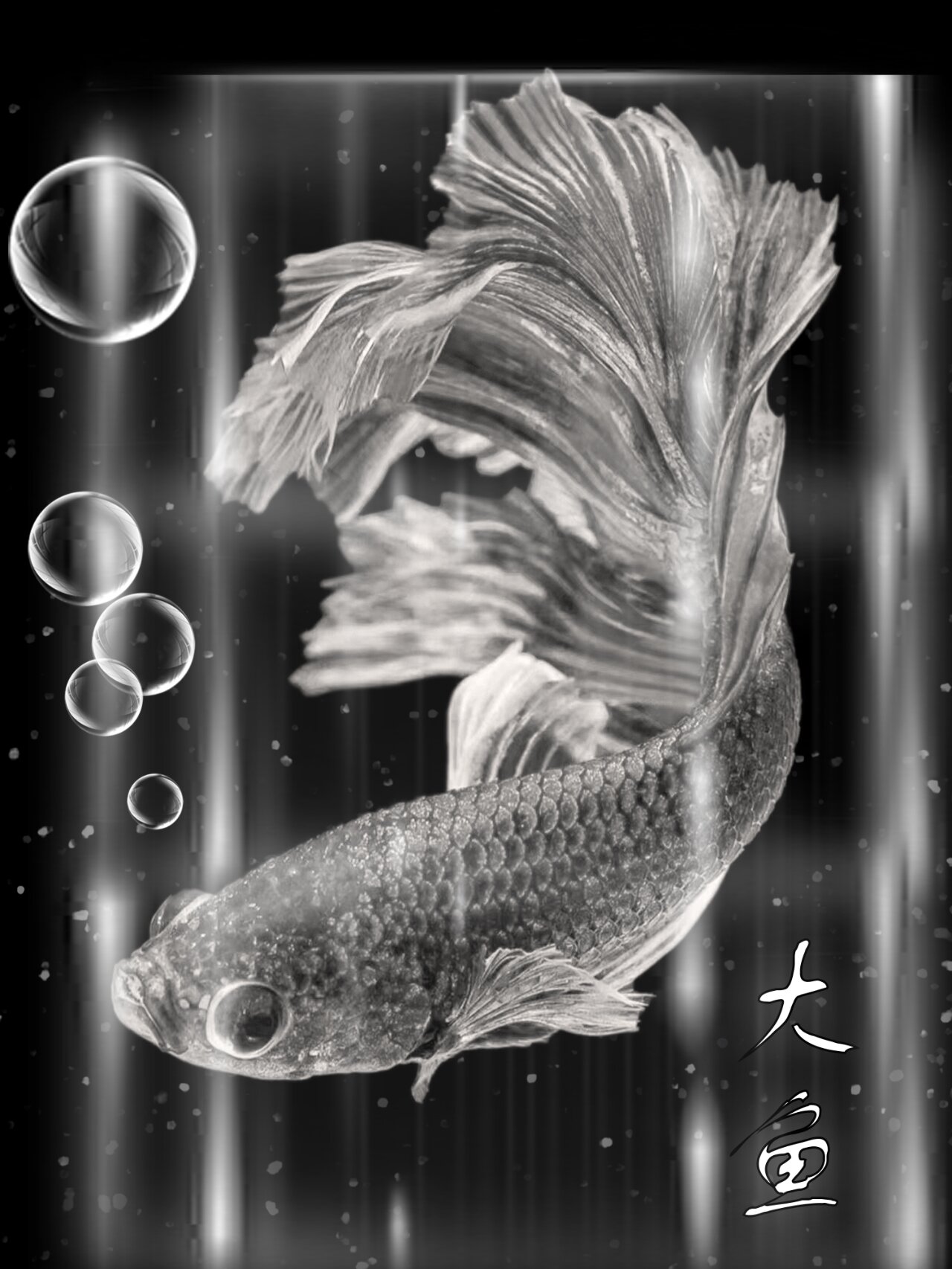 素材分享-psd-大鱼