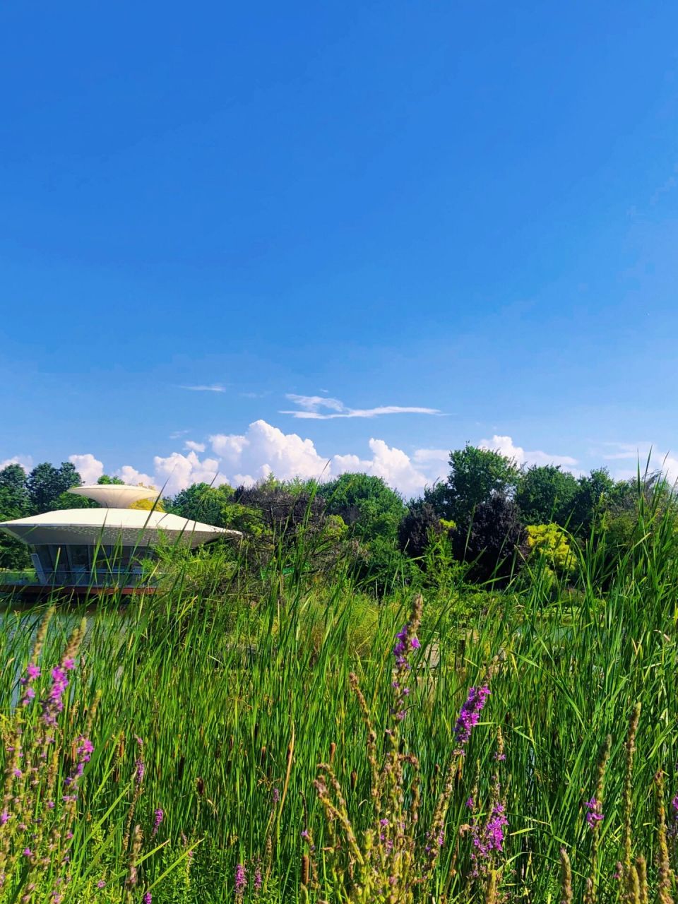 西安植物园攻略|炎炎夏日暴走一万步的美景 西安植物园始建于1959年