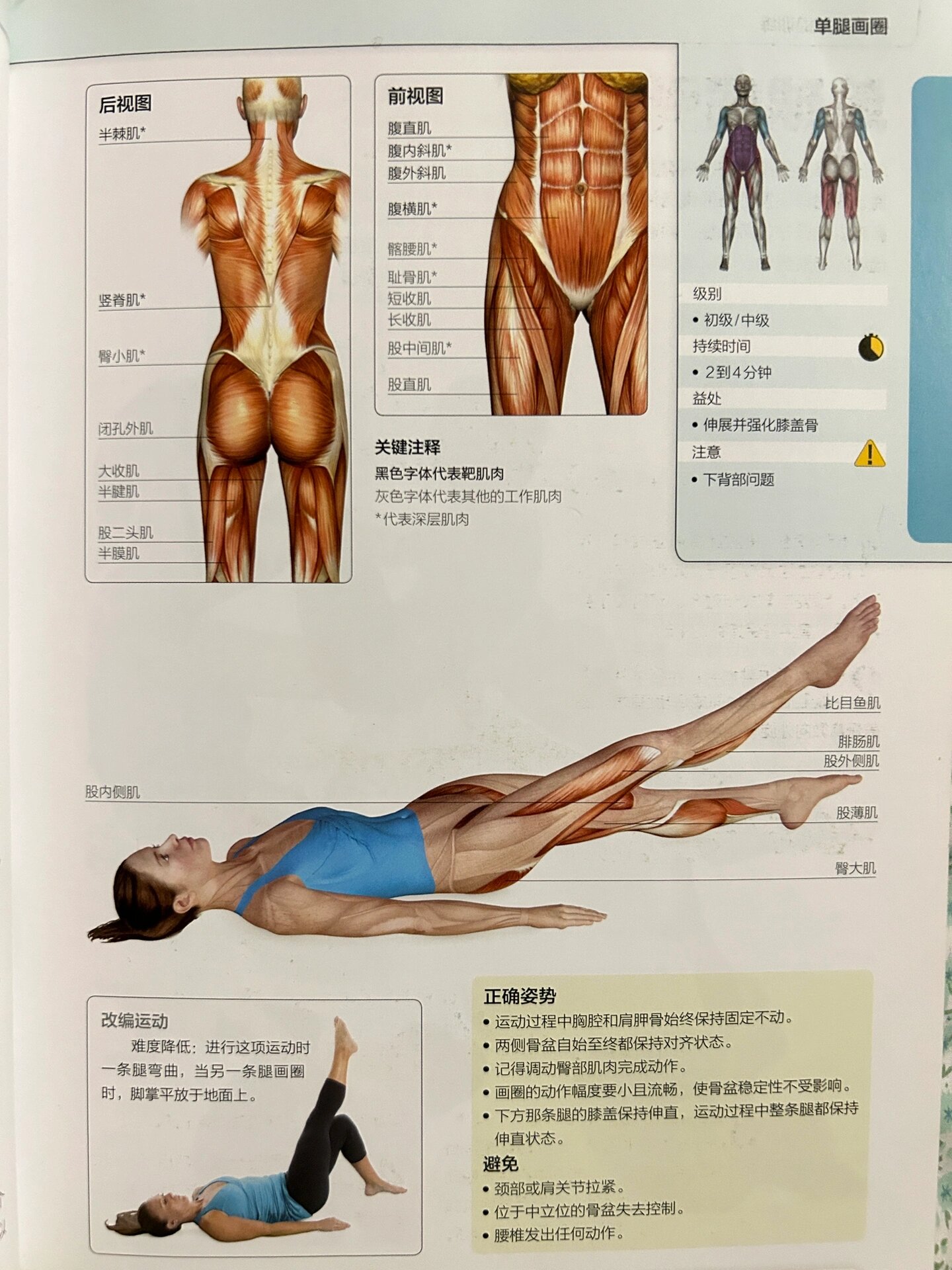 普拉提单腿伸展加旋转图片