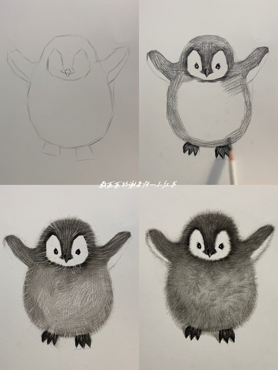 素描动物教学(企鹅篇)附详细过程图 毛绒绒的小企鹅教程来了!