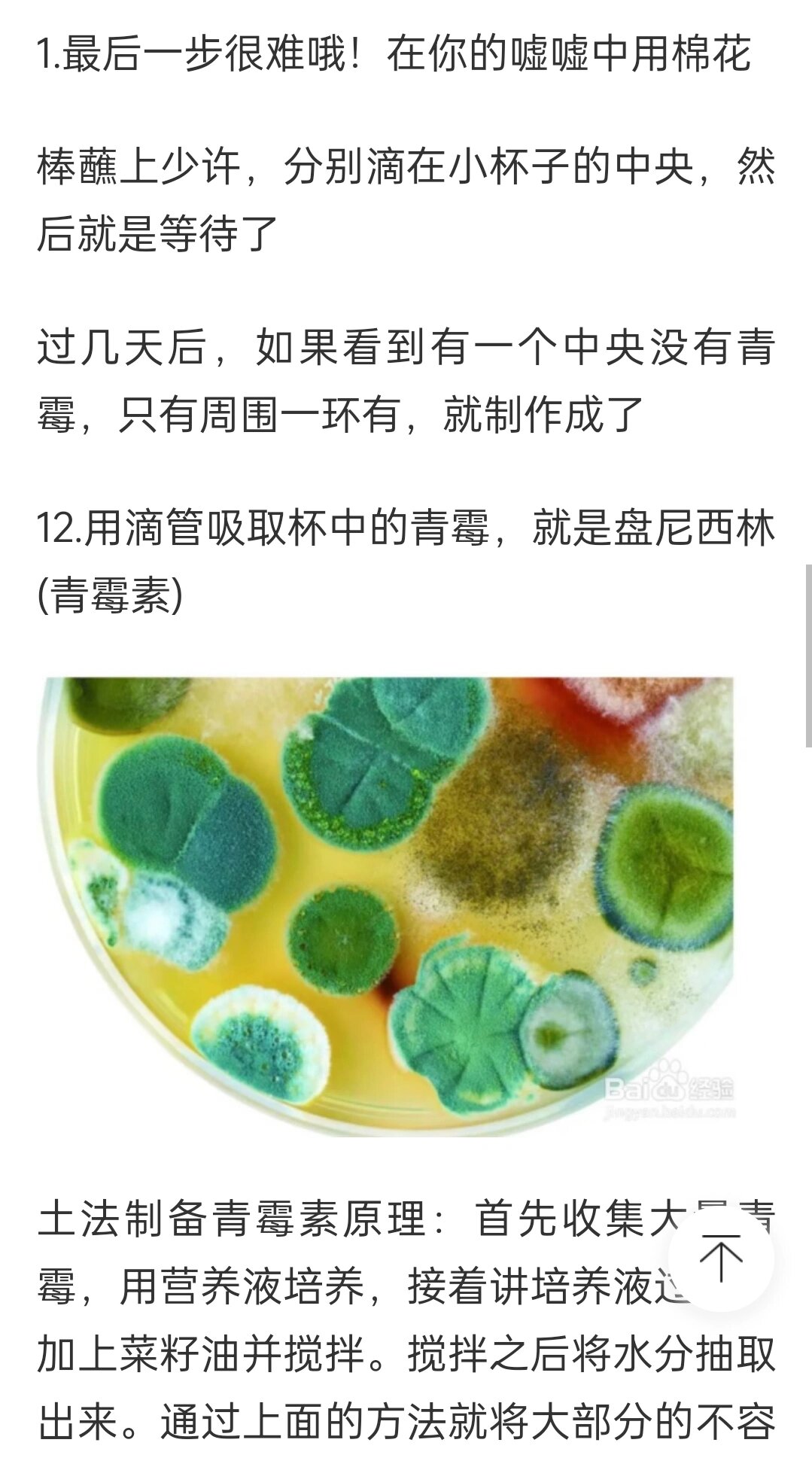 牛蹄叶炎用青霉素图片