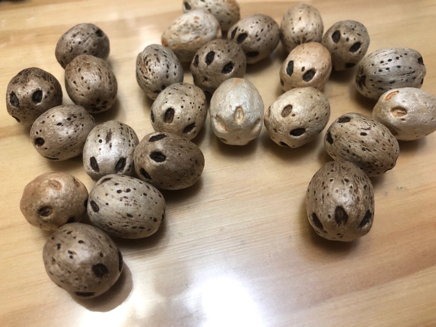 植物园南酸枣核,小区无患子树 ,第一次尝试打孔串手串,好玩