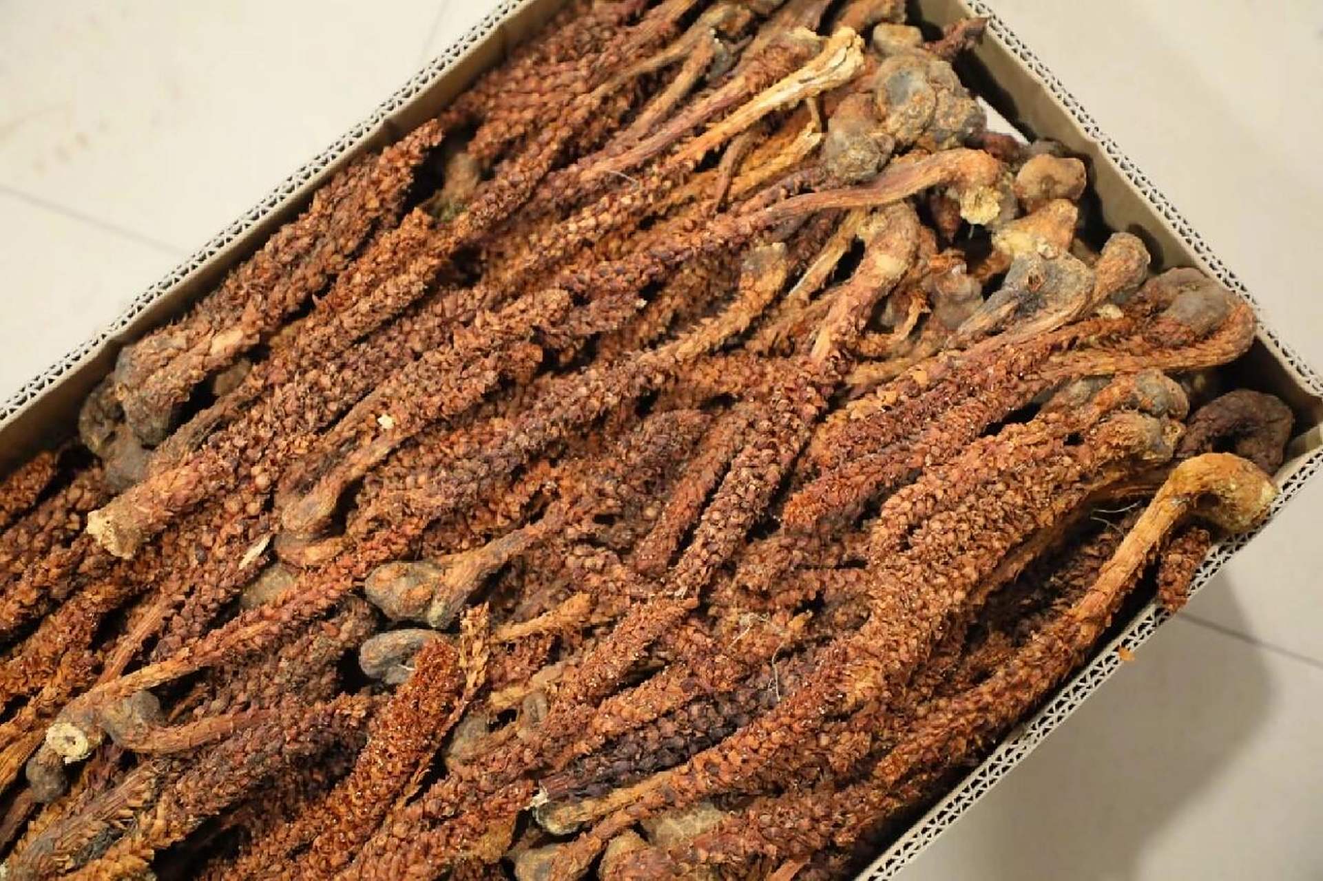 长白山不老草  长白山野生不老草,人们将其视为长生不老的"神草",所以