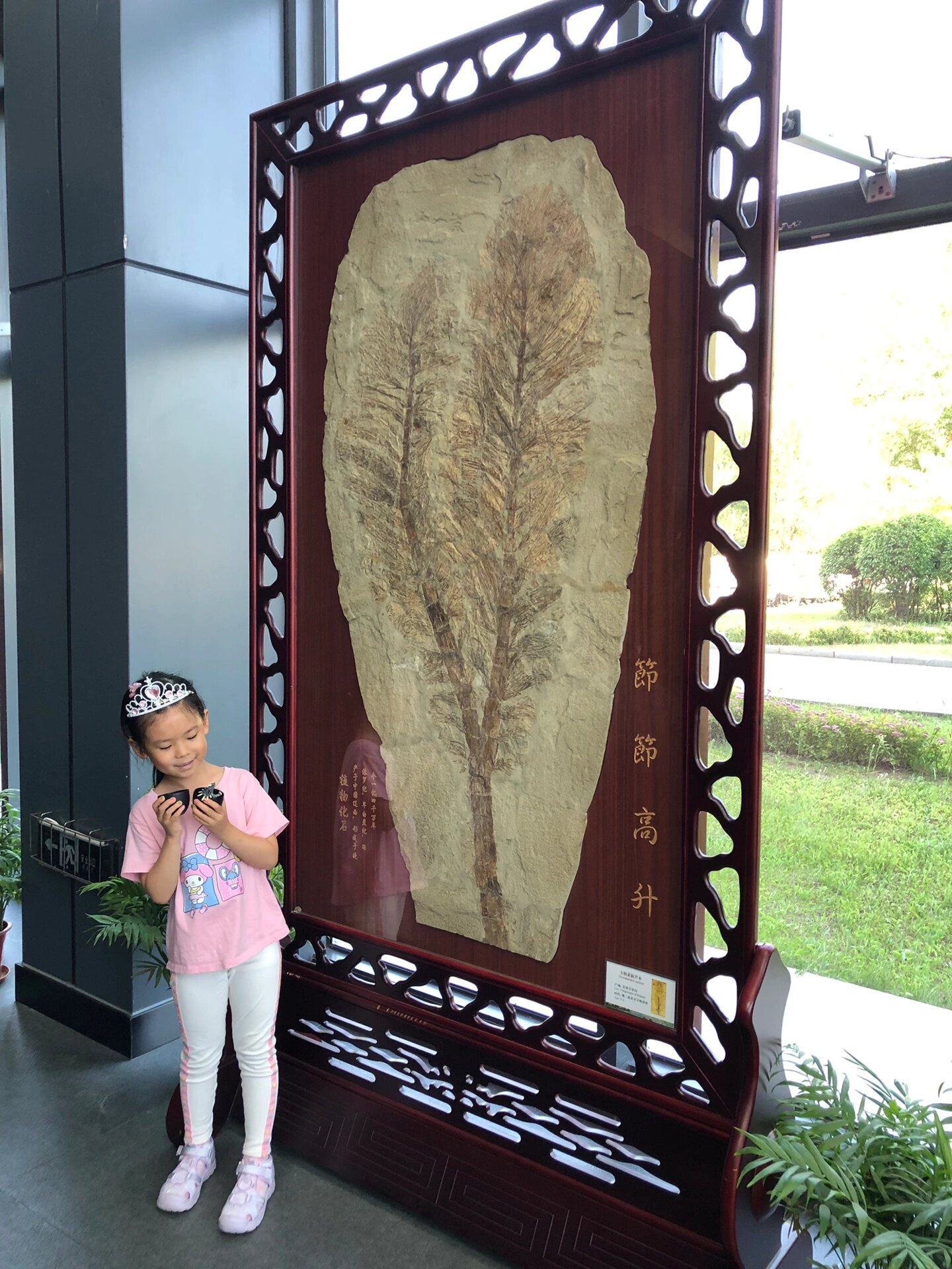 古生物博物馆位于沈阳师范大学门口,馆内大型恐龙化石的数量要比朝阳