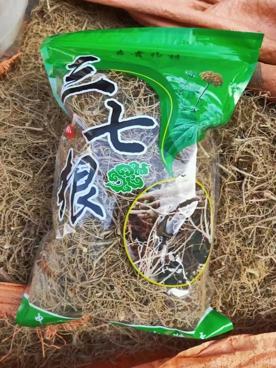 将三七须根与鸡同置锅内,加清水适量,文火炖沸后,加葱,姜,椒,盐各适量