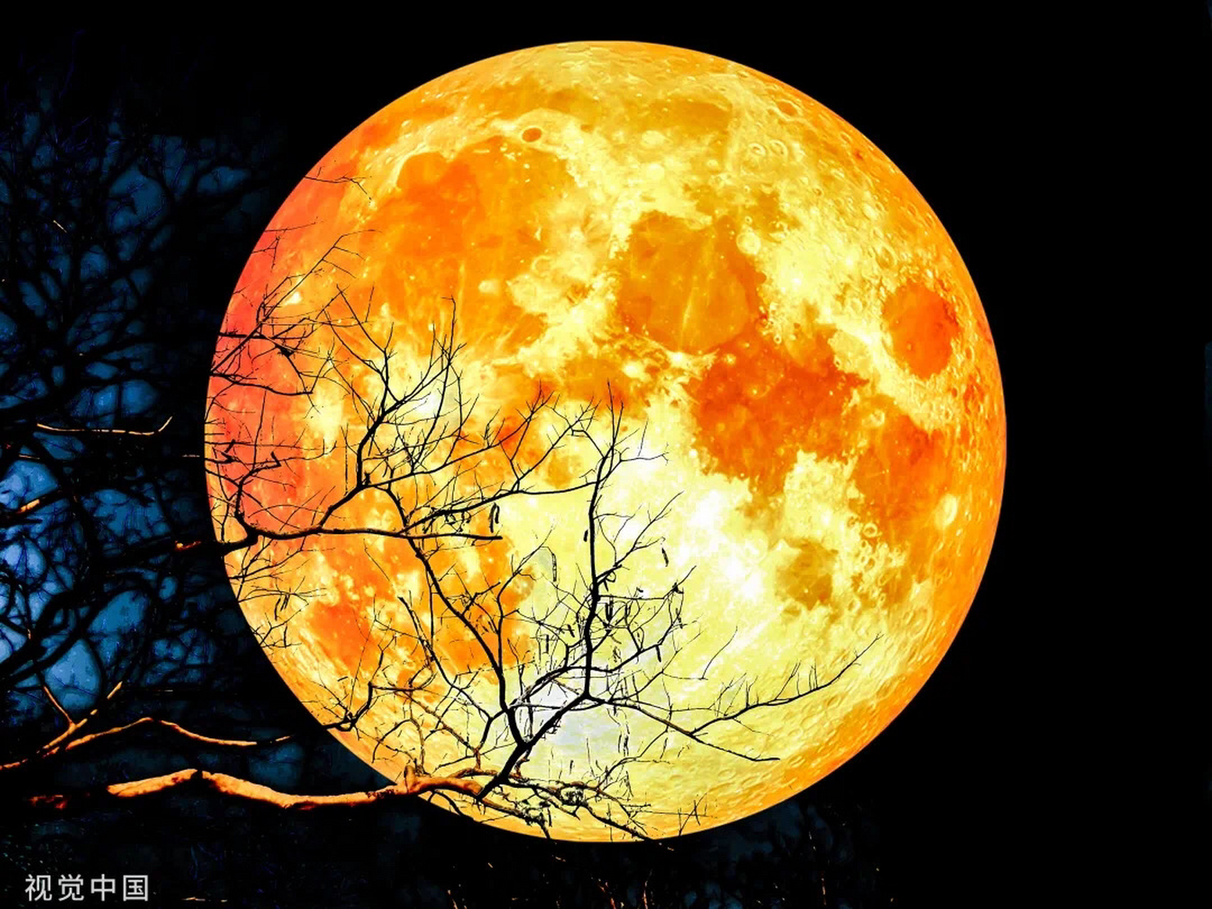 变化多端的月亮 这些独一无二的月亮图片,漂亮吗?你最喜欢哪一张?