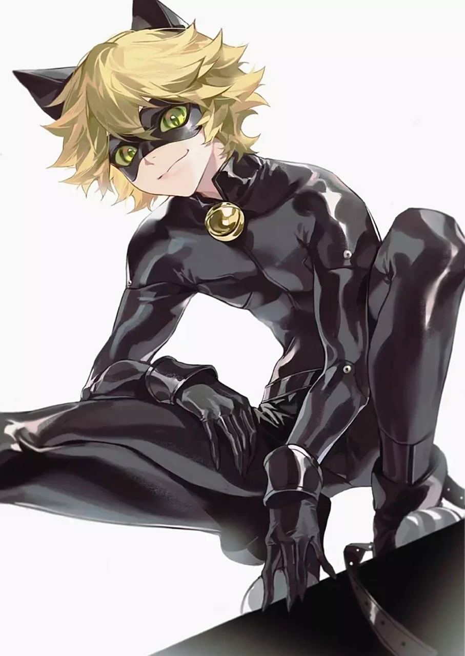 瓢虫雷迪图片分享