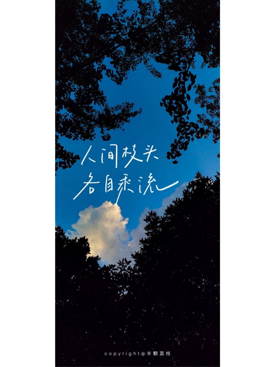 09自摄底图-手机壁纸 拍了一组照片,个人觉得还不