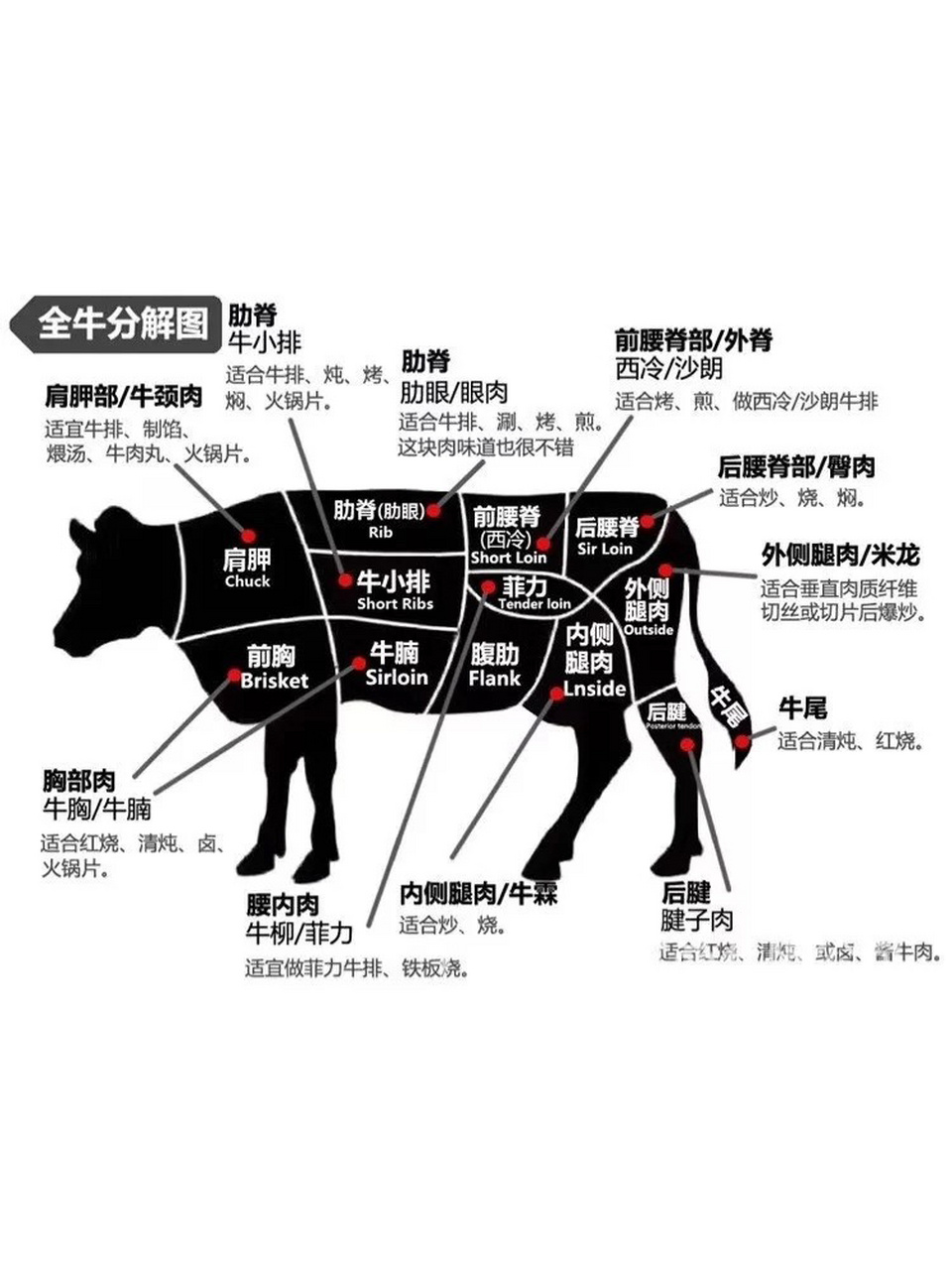 全牛分解图 我想这应该是最全的了,快看一下平常吃的都是哪里的肉