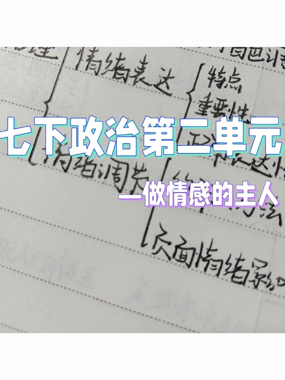 七下政治第二單元思維導圖 七下政治七下政治第二單元思維導圖