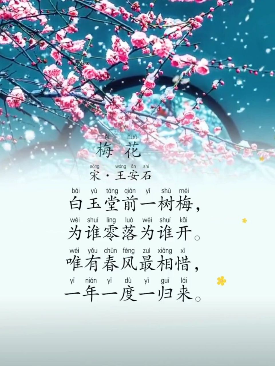 梅花白玉堂前一树梅图片