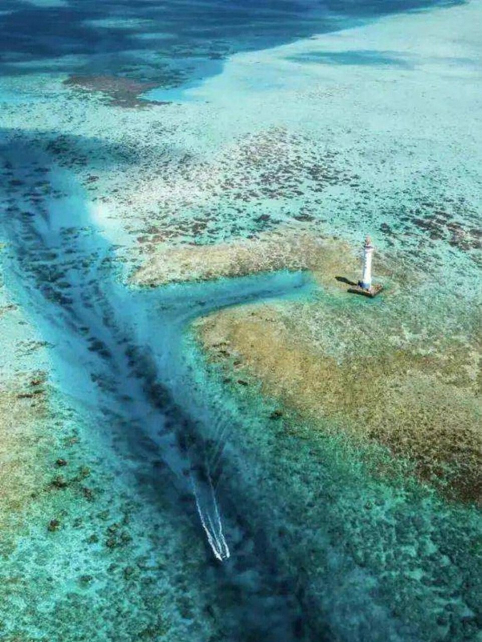 美丽富饶的西沙群岛9695 西沙群岛,明净斑斓的玻璃海91 清澈的