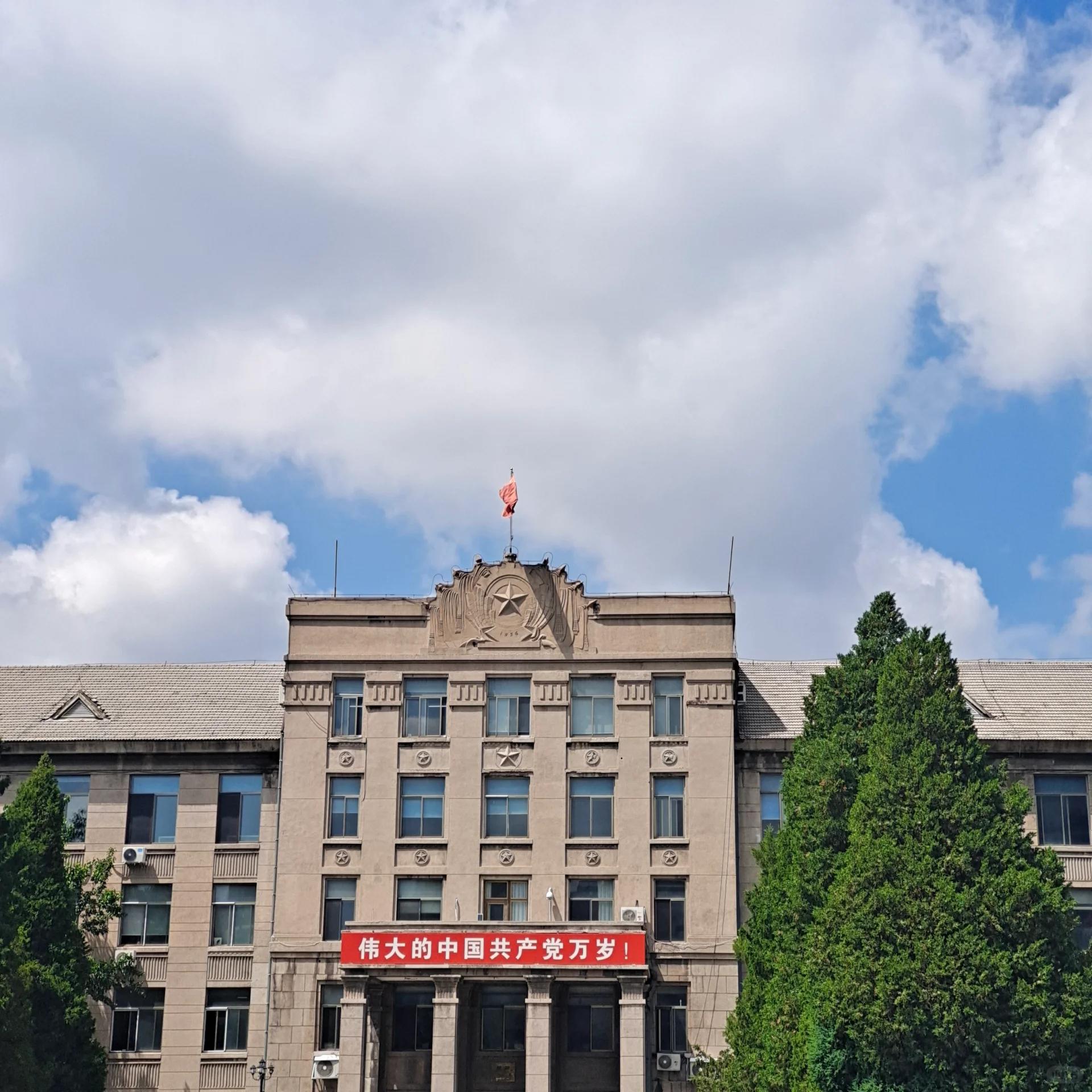 辽宁大学老校区(崇山)的夏日记 还没到秋天 银杏叶没黄 绿色挺靓丽破