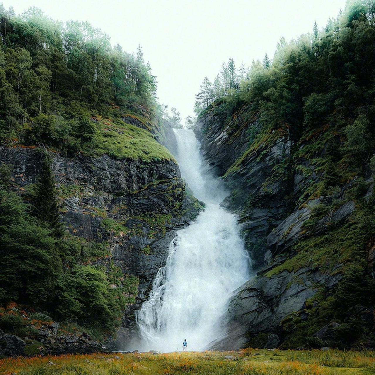 是挪威,是挪威的森林#旅行摄影# #旅行最美风景照#   (via.ins.