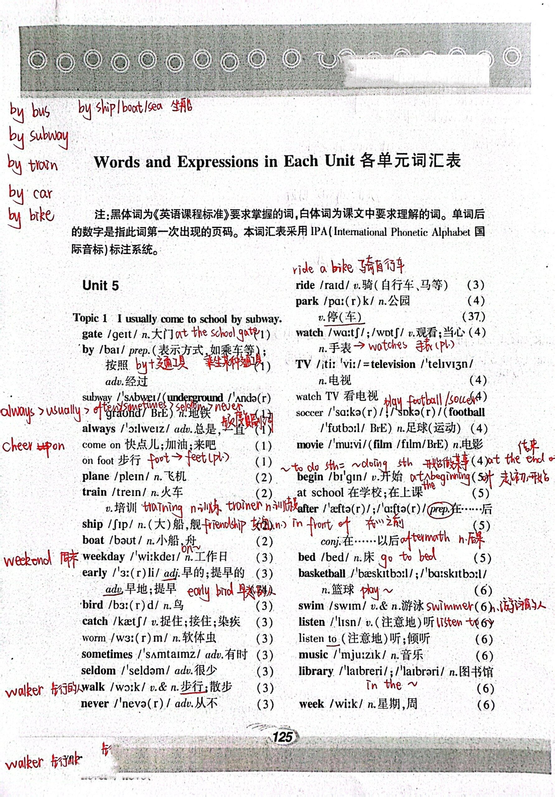 仁爱版英语七年级下册单词表