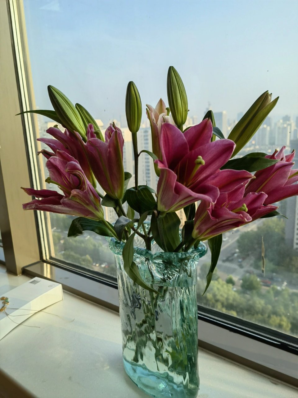 火石百合 可可爱爱的百合,深玫红色吧,香香的,养的时间也挺长的