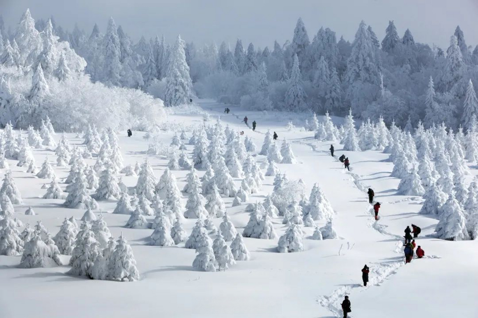 吉林老爷岭风景区图片