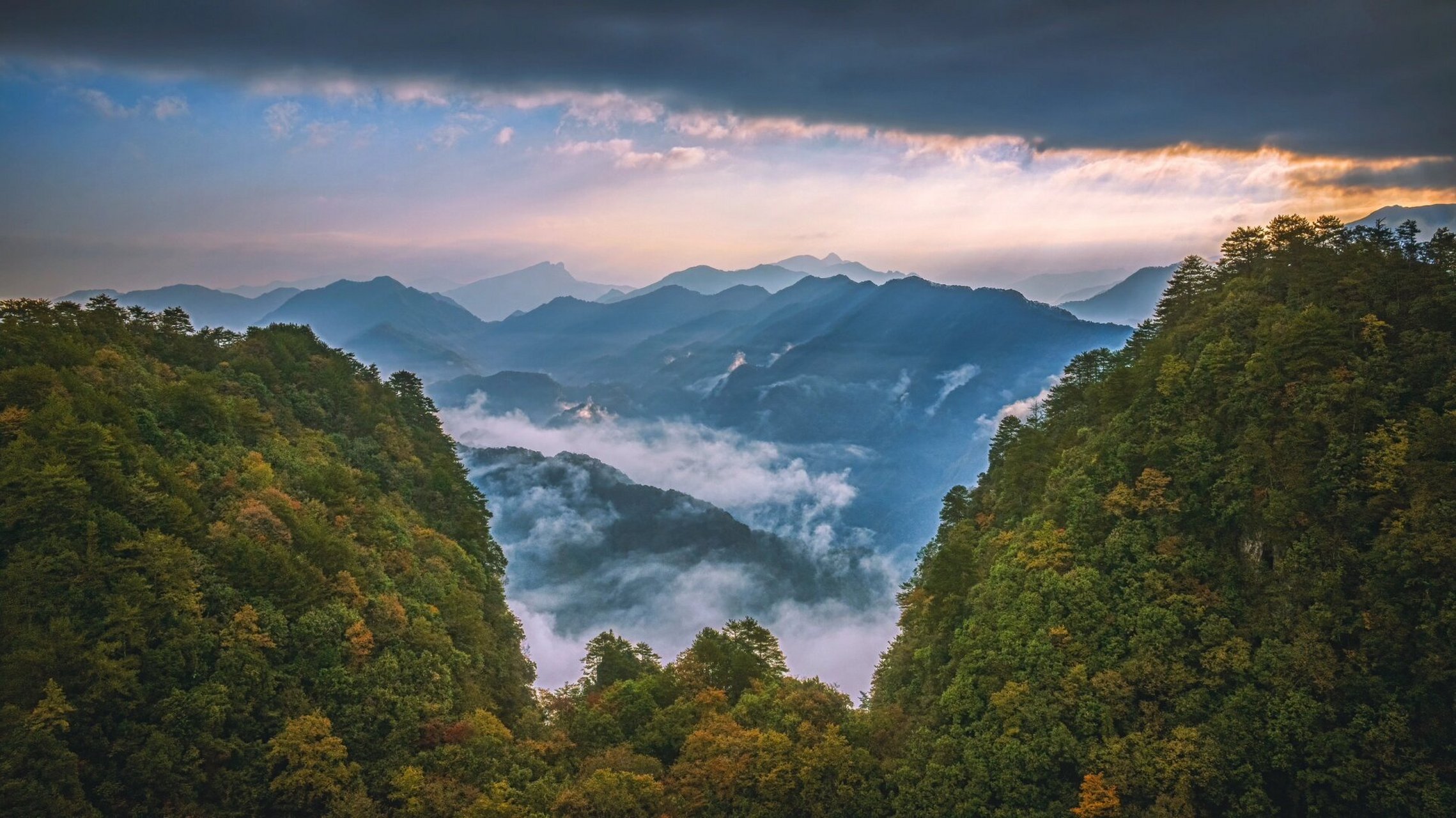 都是秋 每年十月中旬到十一月上旬的二十天,是巴中米仓山最漂亮的时节
