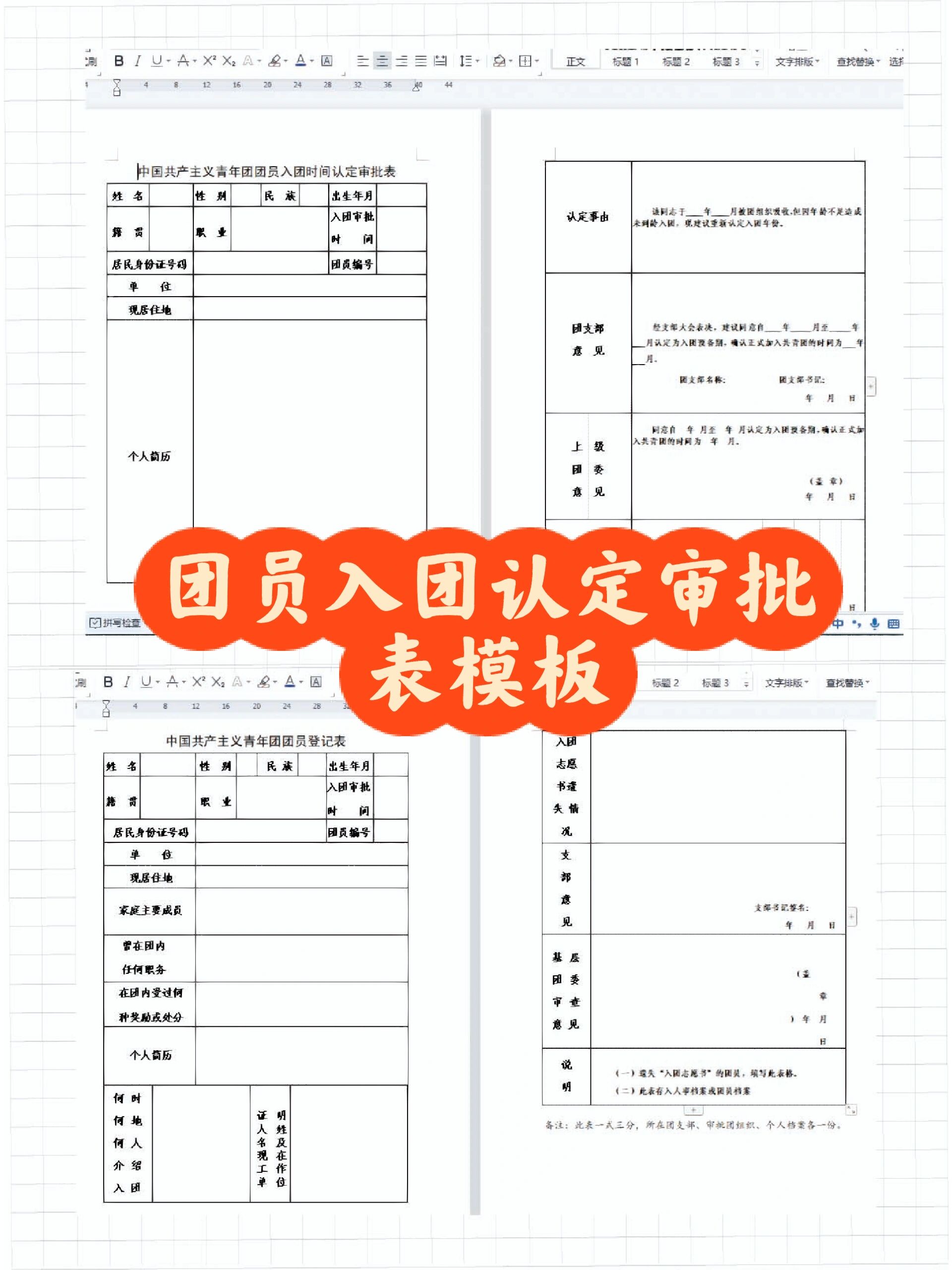 团员表原件图片