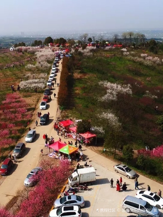 枝江安福寺旅游景点图片