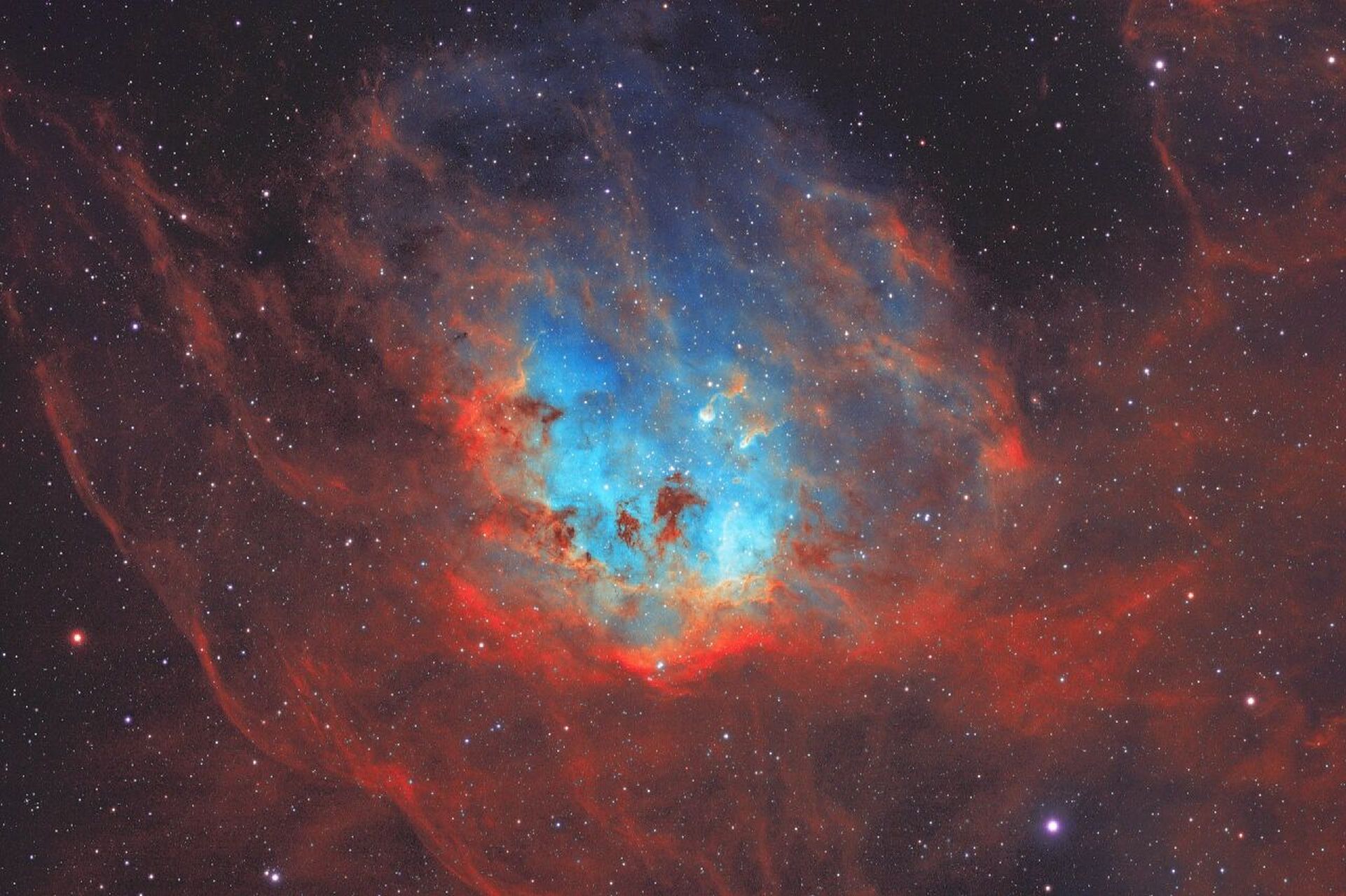 深空摄影|ic 410 小蝌蚪星云 摄于荧灼天文台,sho累计曝光29小时.  #